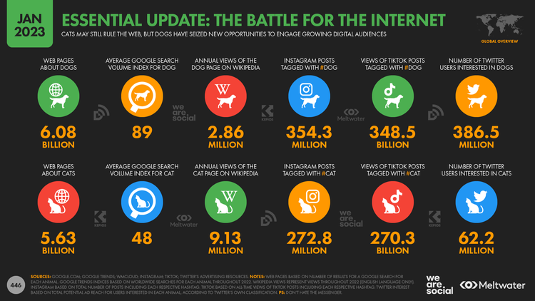 DataReportal data visualization infographic