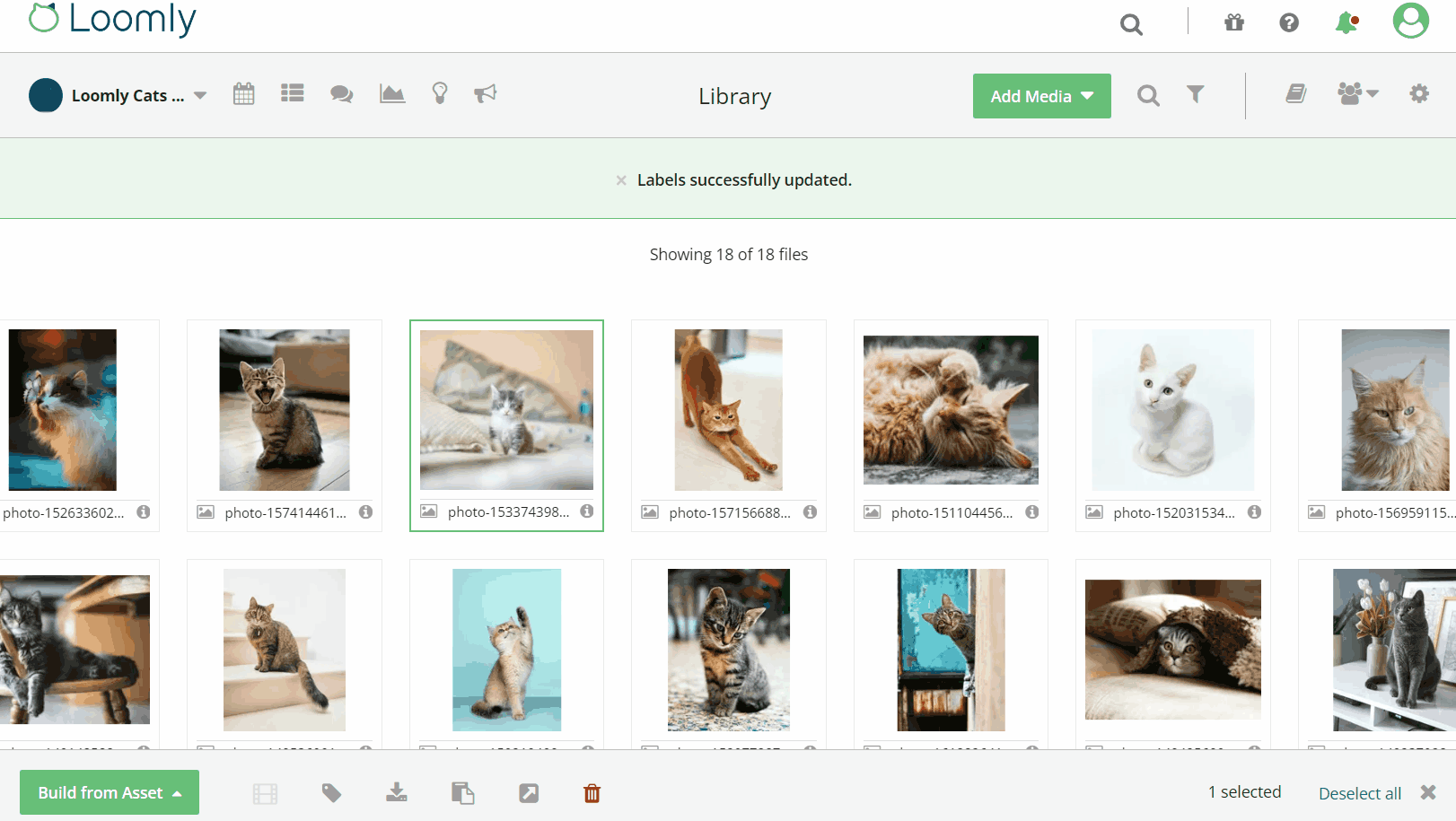 GIF showing how to edit labels in Loomly's content library