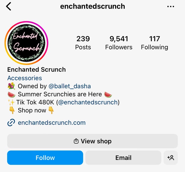 Screenshot of the Enchanted Scrunch Instagram profile
