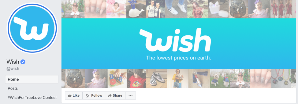 Facebook Ads Definitive Guide Wish Case Study