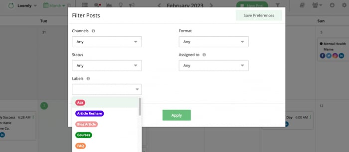 Filtering Posts in Loomly