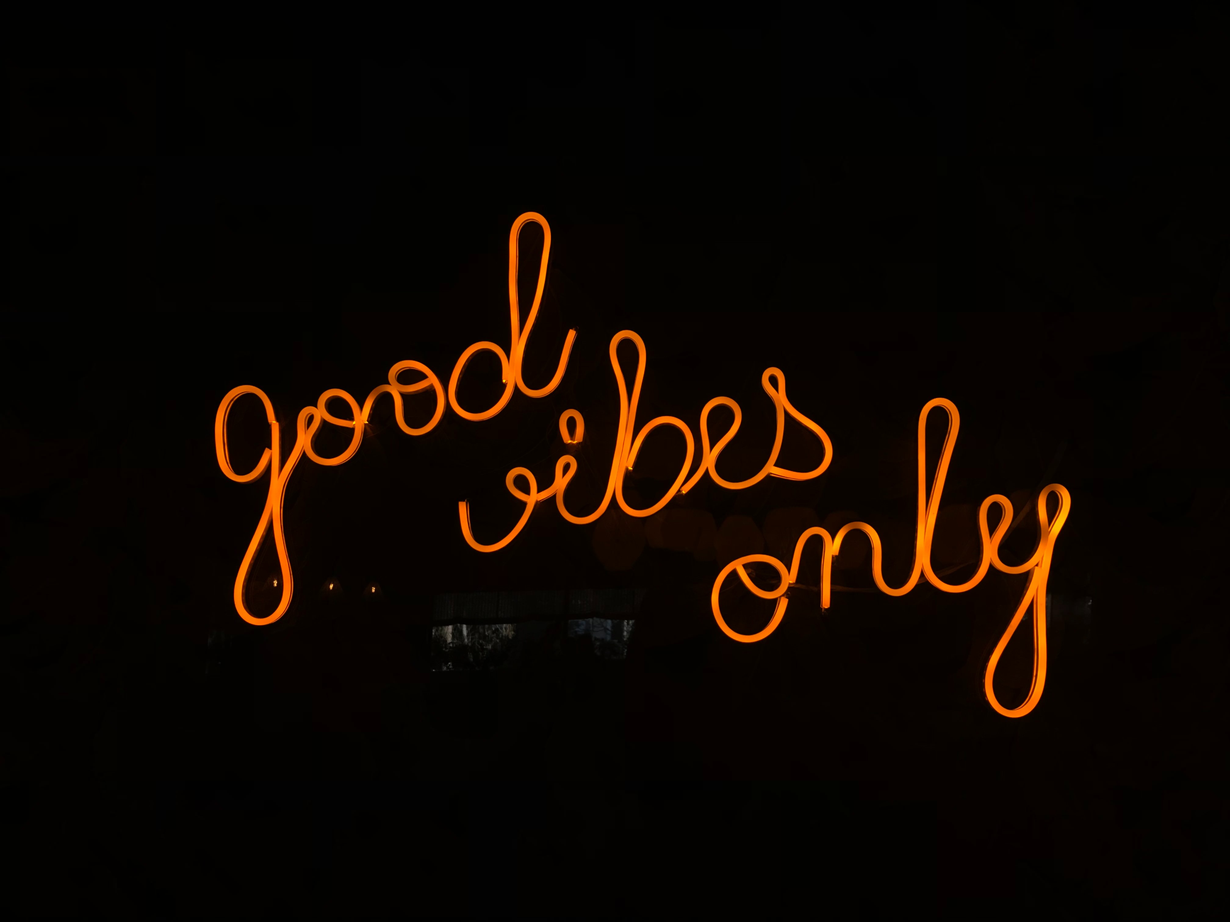 How to build a happy team Cultivate A Try New Things Environment
