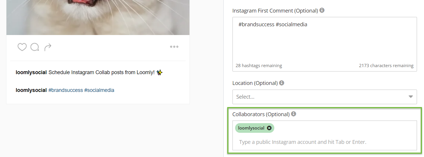 Instagram collab posts scheduled through Loomly