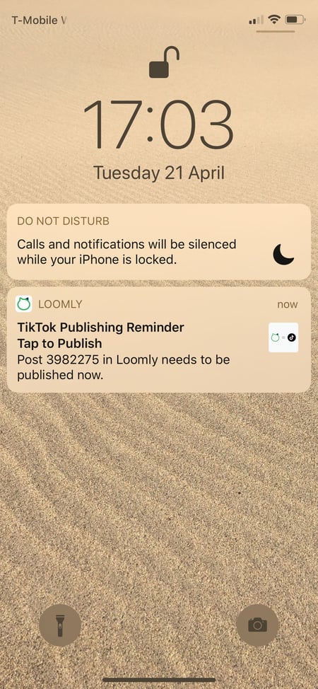 Loomly TikTok Integration Publishing Reminder Push Notification