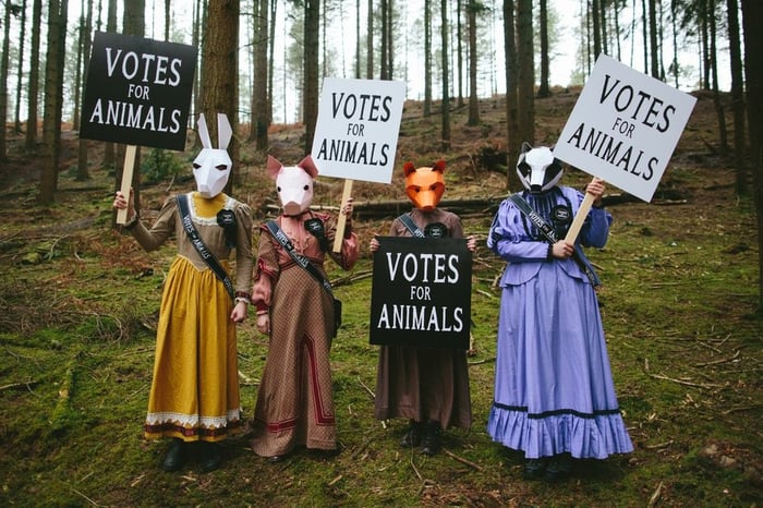 Lush employees dressed as animals.