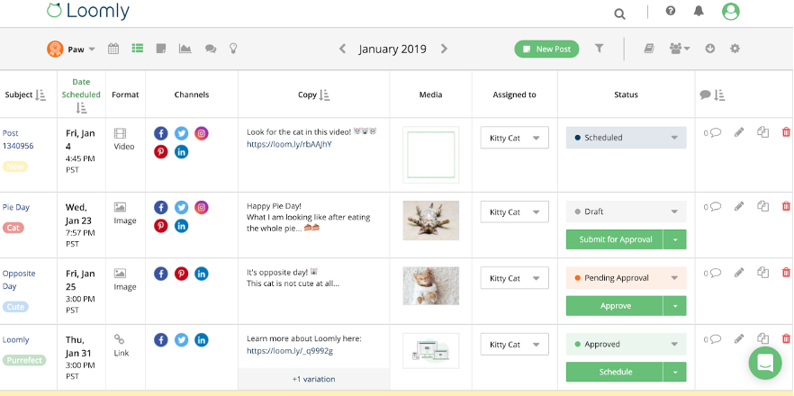 build your brand on instagram loomly list view