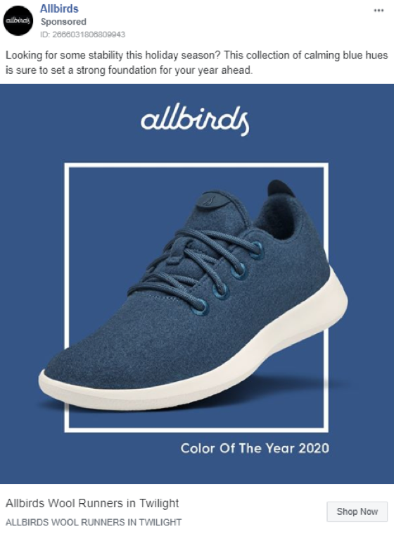 direct-to-consumer brands allbirds example facebook ad