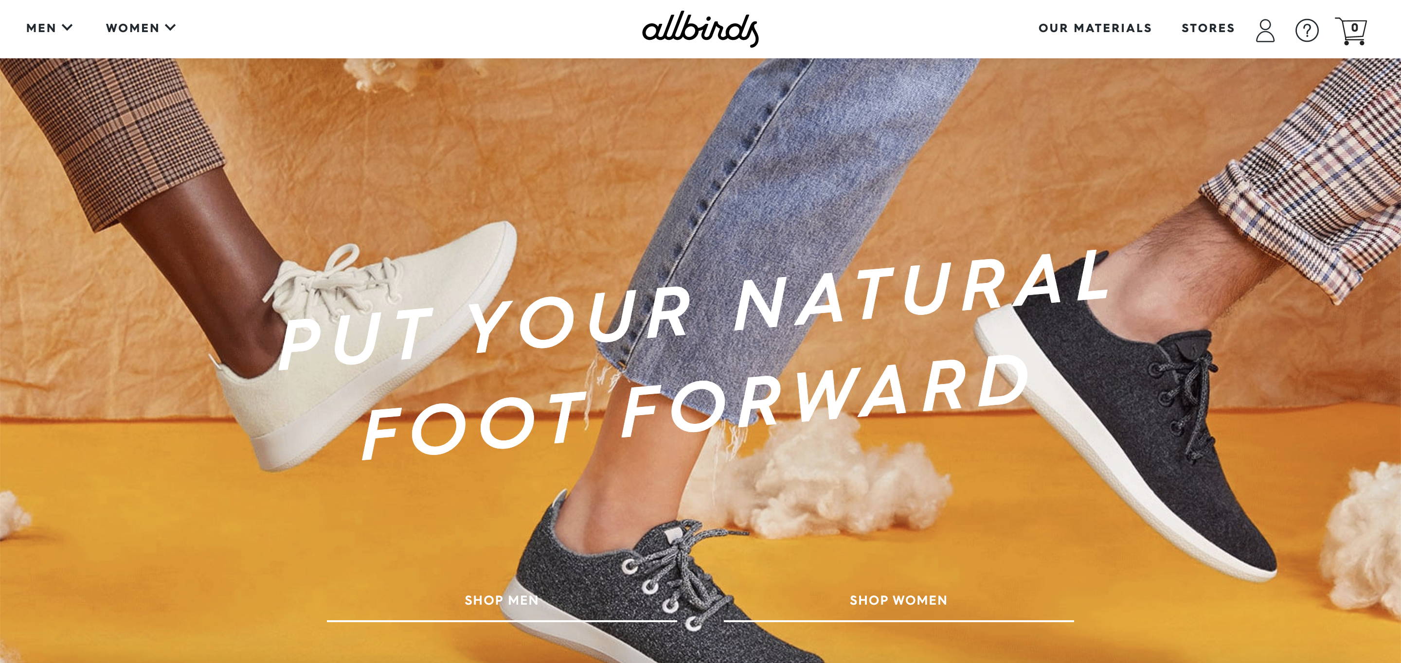 direct-to-consumer brands example allbirds