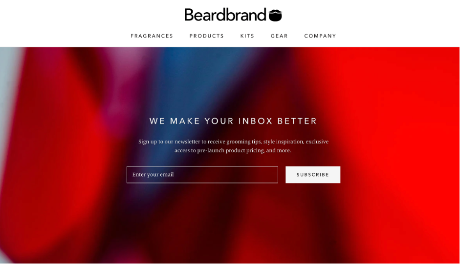 email marketing build your list bearbrand example
