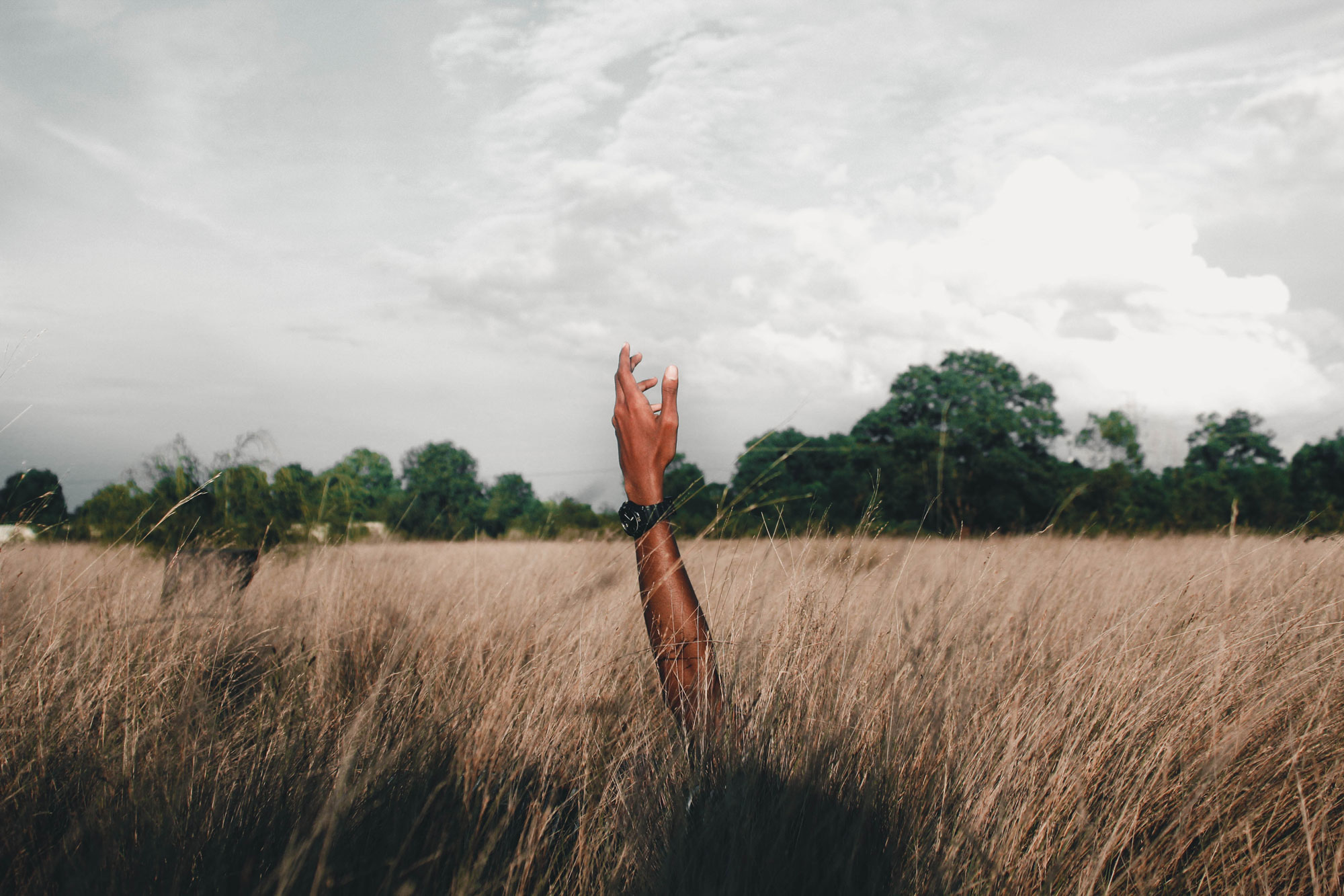 harness the power of goodwill know what your audience wants