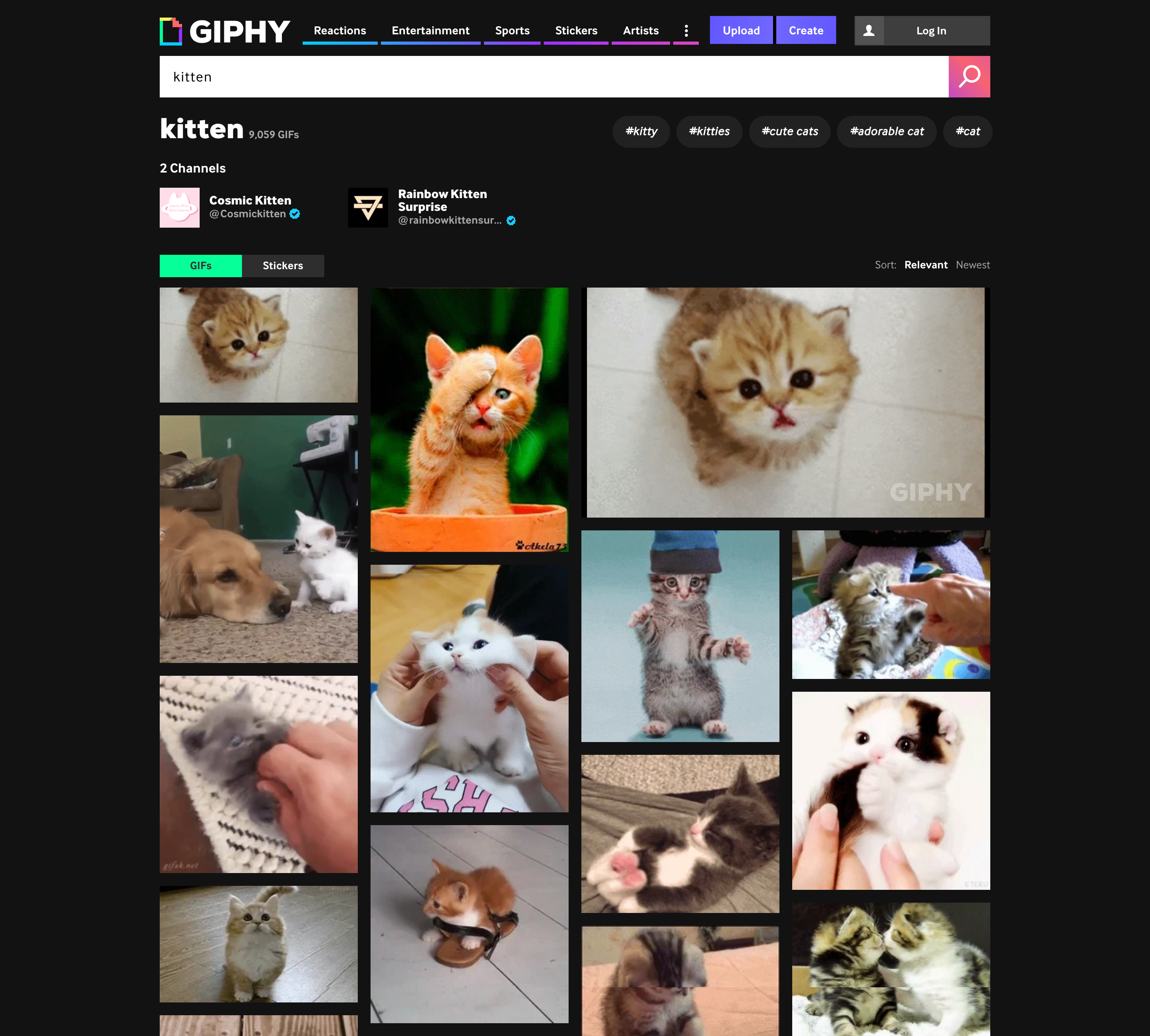 loomly x giphy integration kitten search home page
