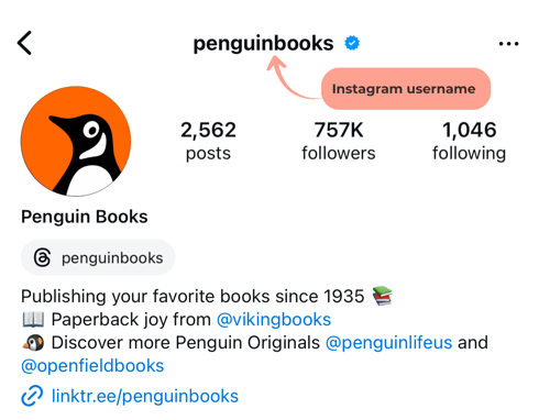 Instagram username