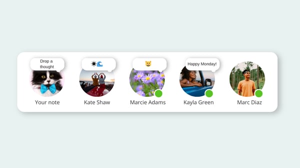 What are Instagram notes